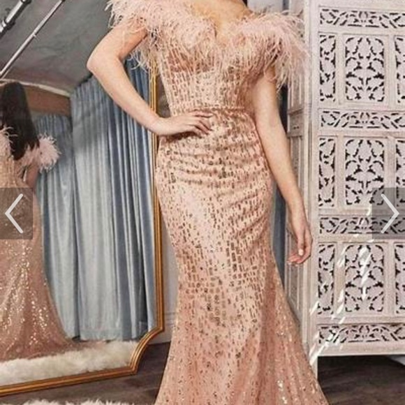 Cinderella Gown Dress - Picture 5 of 5